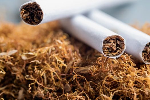 Understanding Tobacco: Its Varieties and Drying Methods